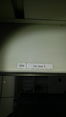 dover004.jpg