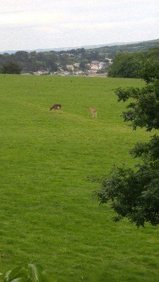 prideaux place020.jpg