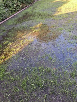 20240710_200640.jpg