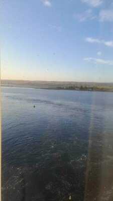 20240903_070418.JPG