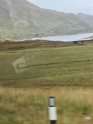 20240903_141233.JPG