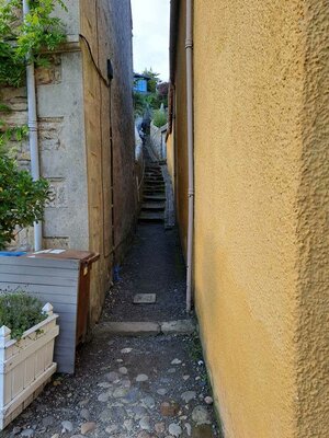 20240904_173606.JPG