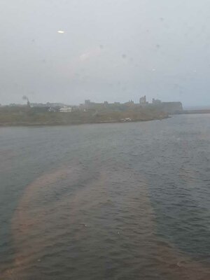 20240905_065920.JPG