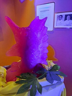 20240906_190214.JPG